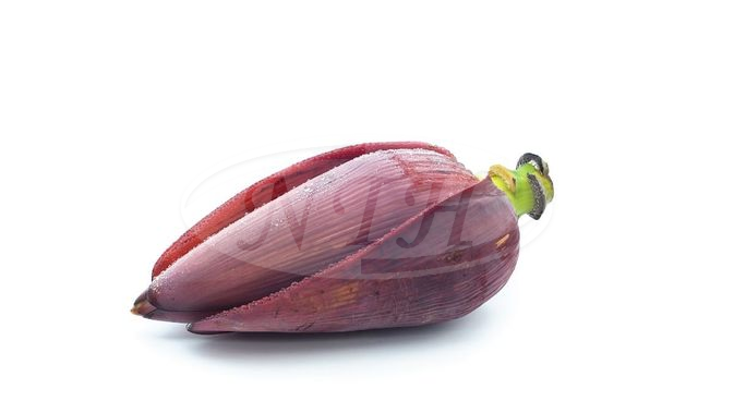 Banana Flower/ Jantung Pisang